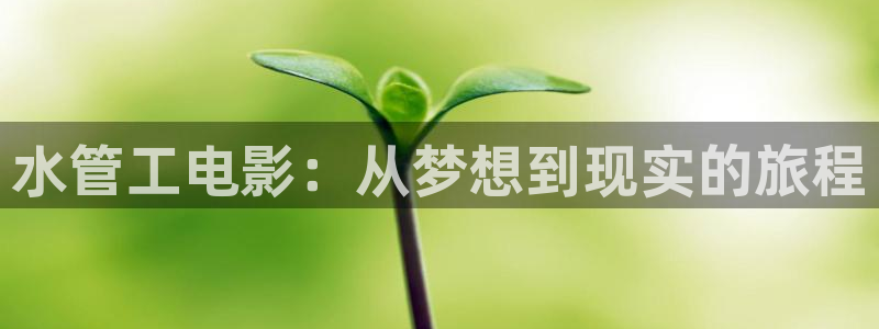 天辰娱乐老板
