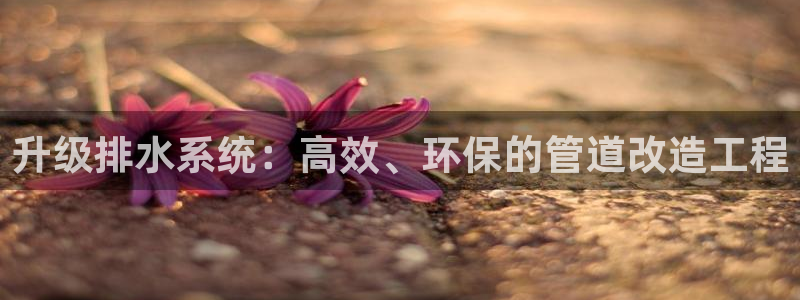 天辰娱乐新闻