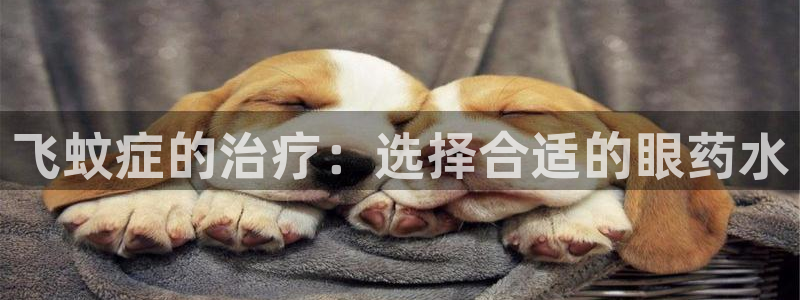 天辰娱乐代理