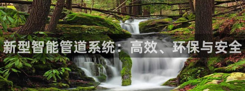 天辰娱乐小姐
