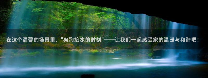 天辰娱乐平台测速