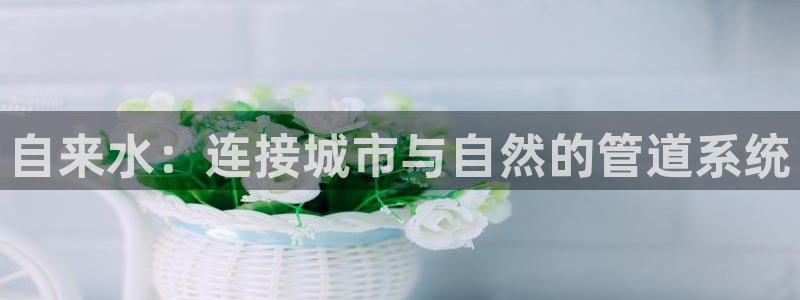 天辰娱乐指定