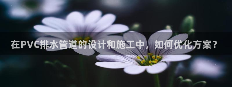 天辰娱乐下载地址