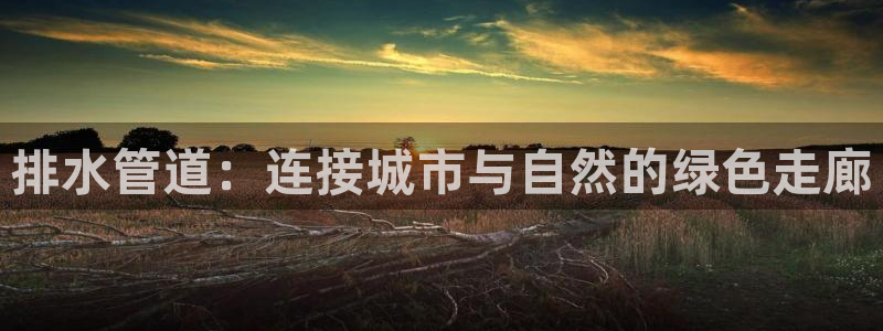 南京天辰娱乐