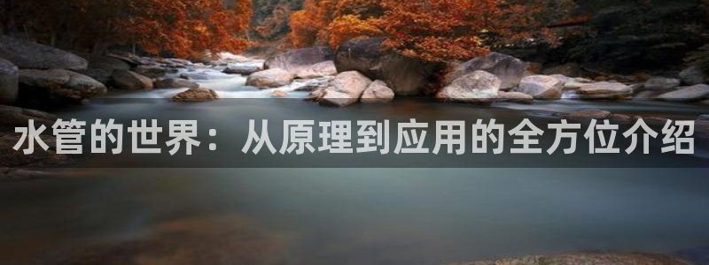 天辰娱乐论坛