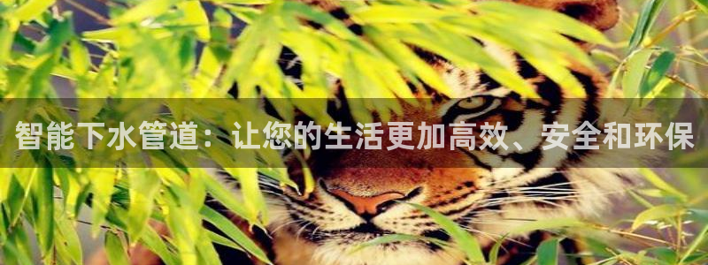 天辰说娱乐