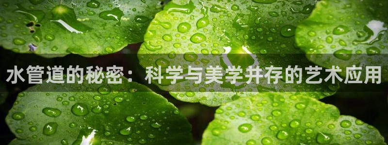 天辰娱乐股东