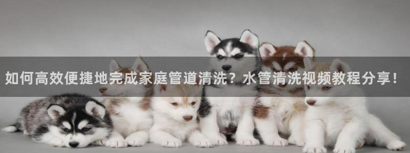 天辰娱乐 44516