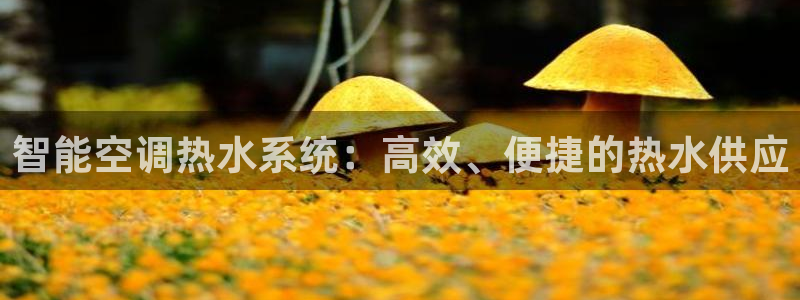 天辰国际娱乐