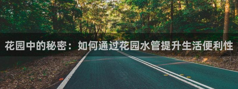 天辰娱乐天辰宝
