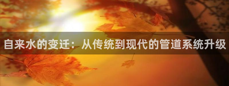 天辰宝宝娱乐