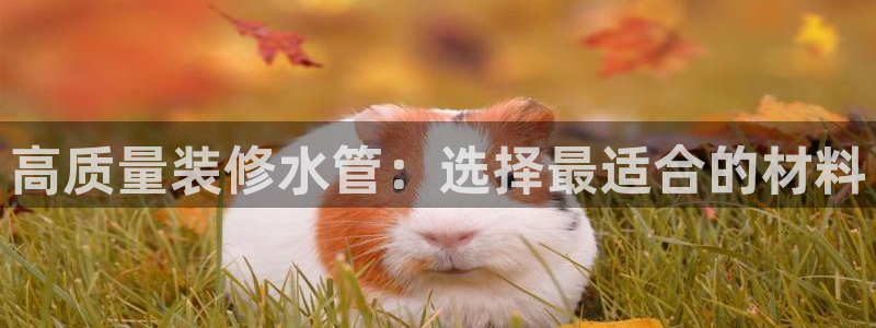 天辰娱乐平台娱乐注册