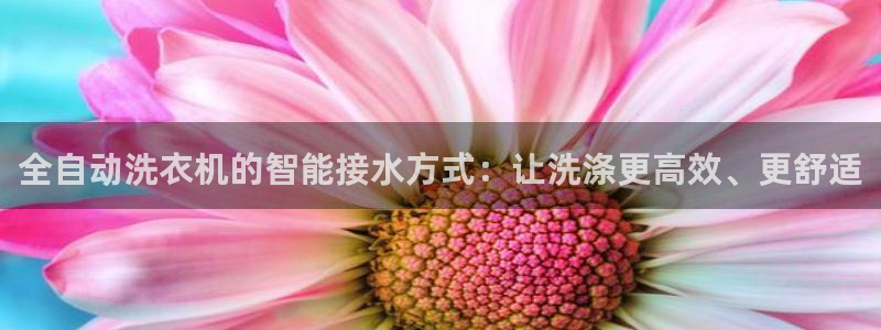 天辰娱乐黑人
