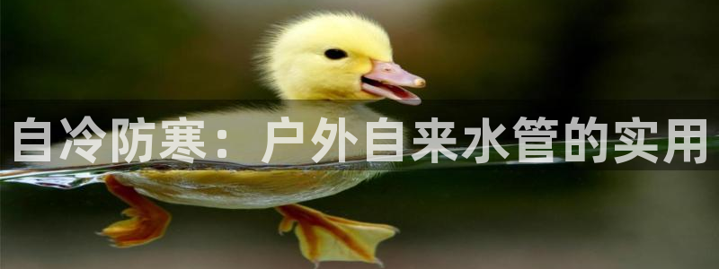 天辰娱乐平台测速