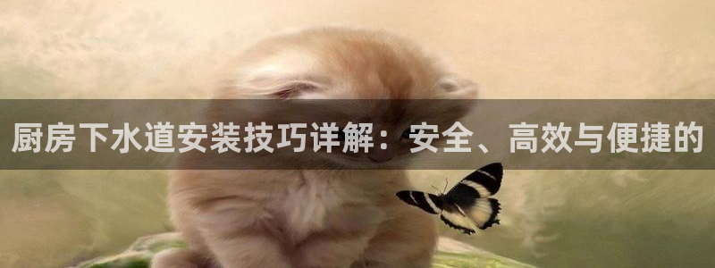 天辰娱乐总管年薪