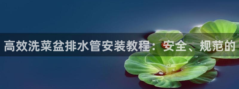 天辰娱乐1980