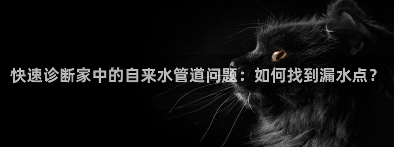 天辰娱乐1996