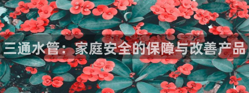 天辰娱乐557448