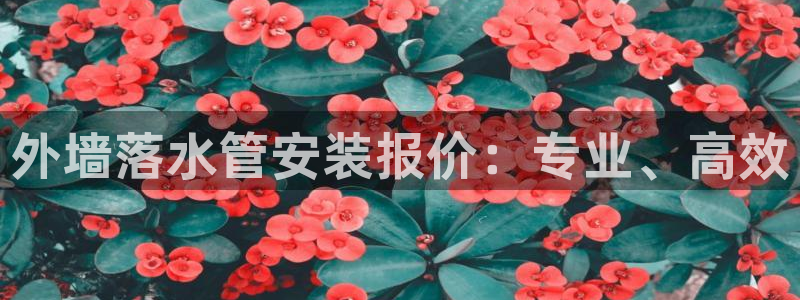 天辰娱乐 39974