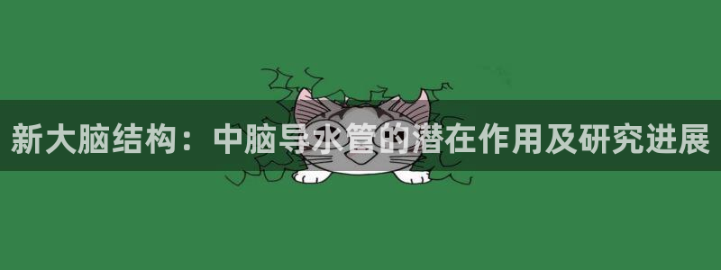 天辰娱乐官网平台下载
