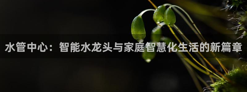 天辰娱乐2