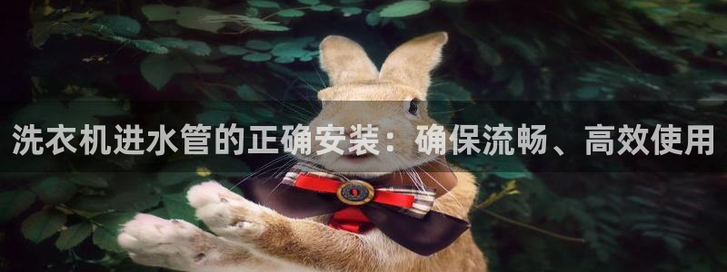 天辰娱乐APP下载