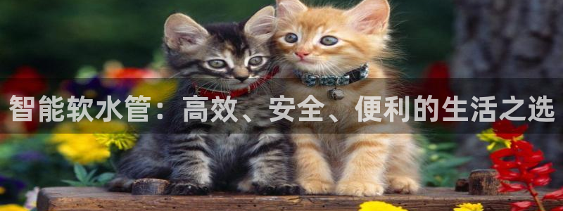 天辰娱乐小姐