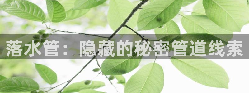 天辰彩票娱乐