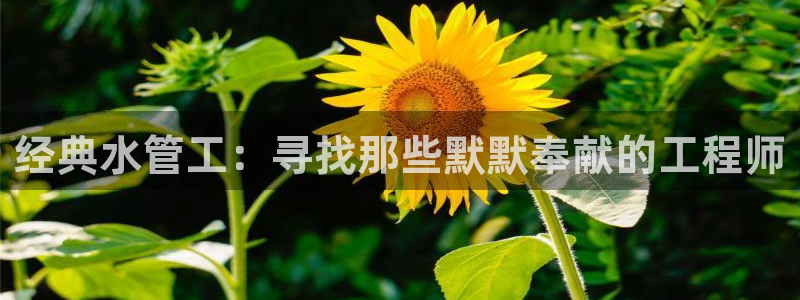 天辰娱乐平台