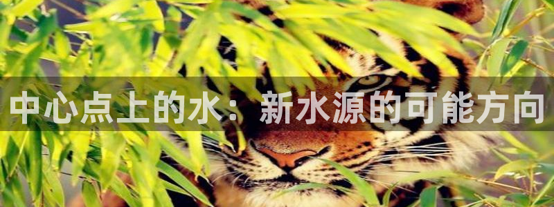 天辰娱乐文化