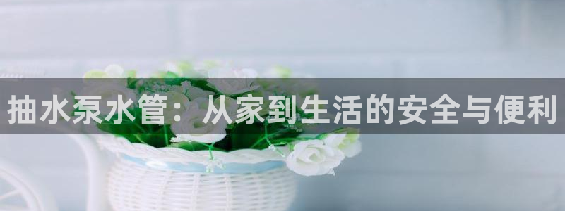 天辰娱乐 . 鱼刺
