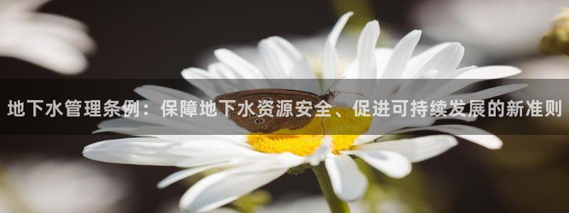 天辰娱乐内部