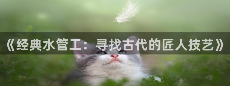 天辰娱乐官方