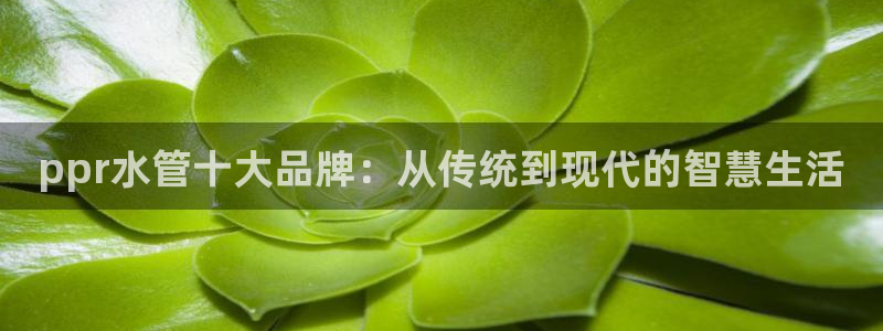 天辰娱乐集团