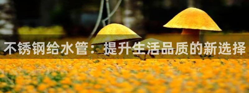 天辰娱乐平台地址