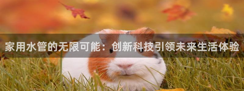 天辰娱乐平台地址