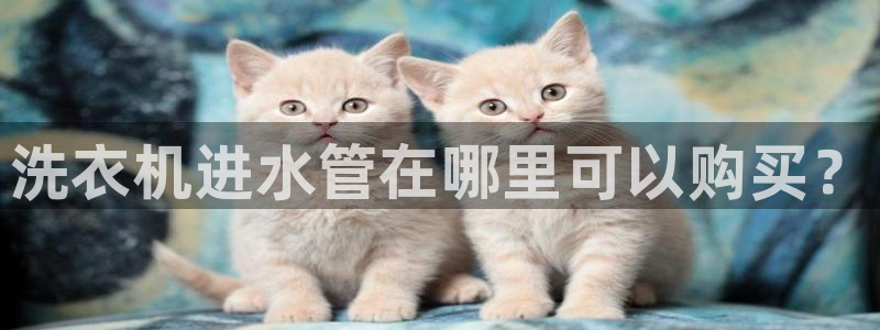 天辰臣娱乐