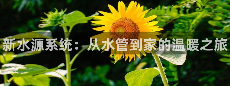 天辰娱乐51137