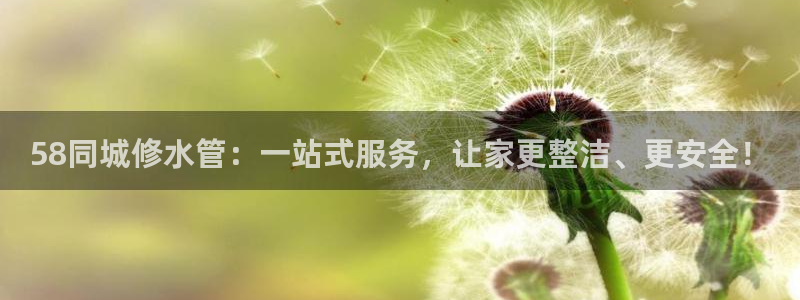 南充天辰娱乐