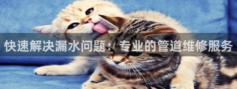 天辰娱乐测试