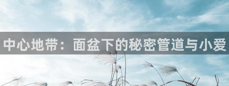 天辰辰娱乐代理