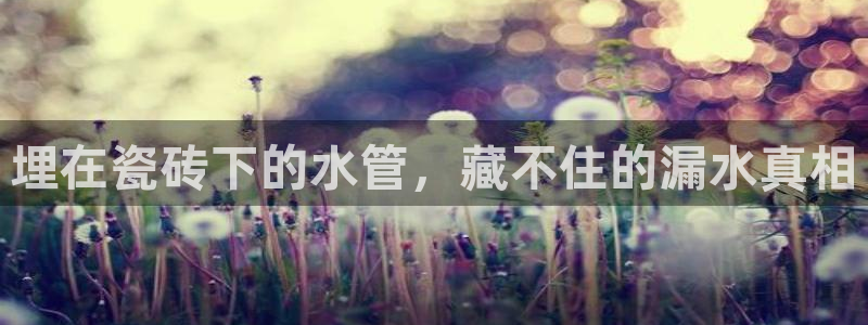 天辰娱乐 849852