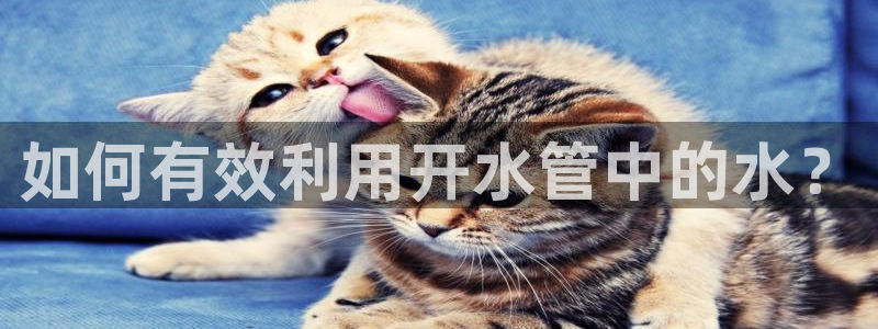 天辰2娱乐