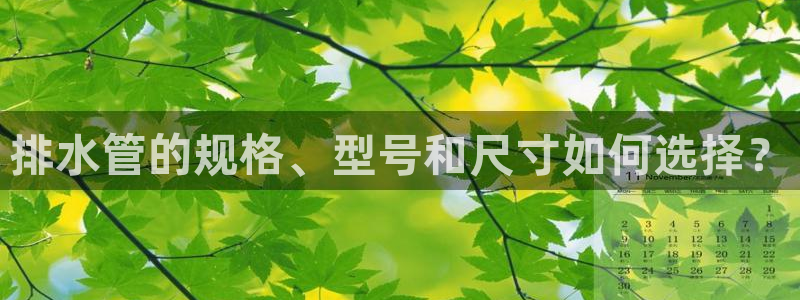娱乐ktv天辰