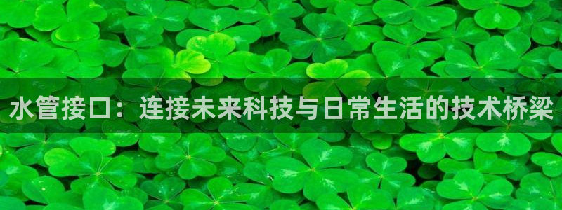 天辰娱乐登录网址