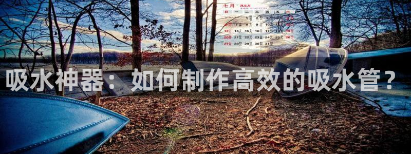天辰娱乐国际