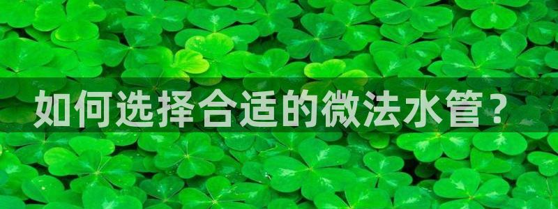 天辰在线娱乐