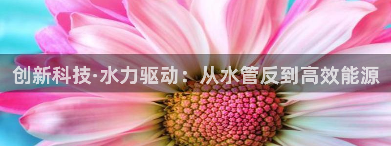 天辰娱乐信誉