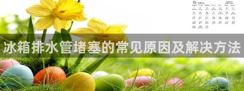 深圳天辰娱乐