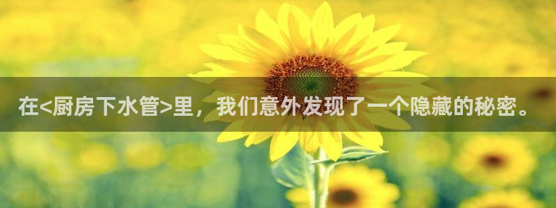 天辰娱乐登录网址